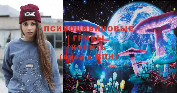 ешки Богородицк
