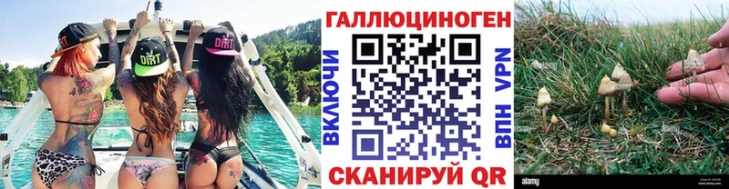 Купить Козельск Галлюциногенные грибы Cubensis
